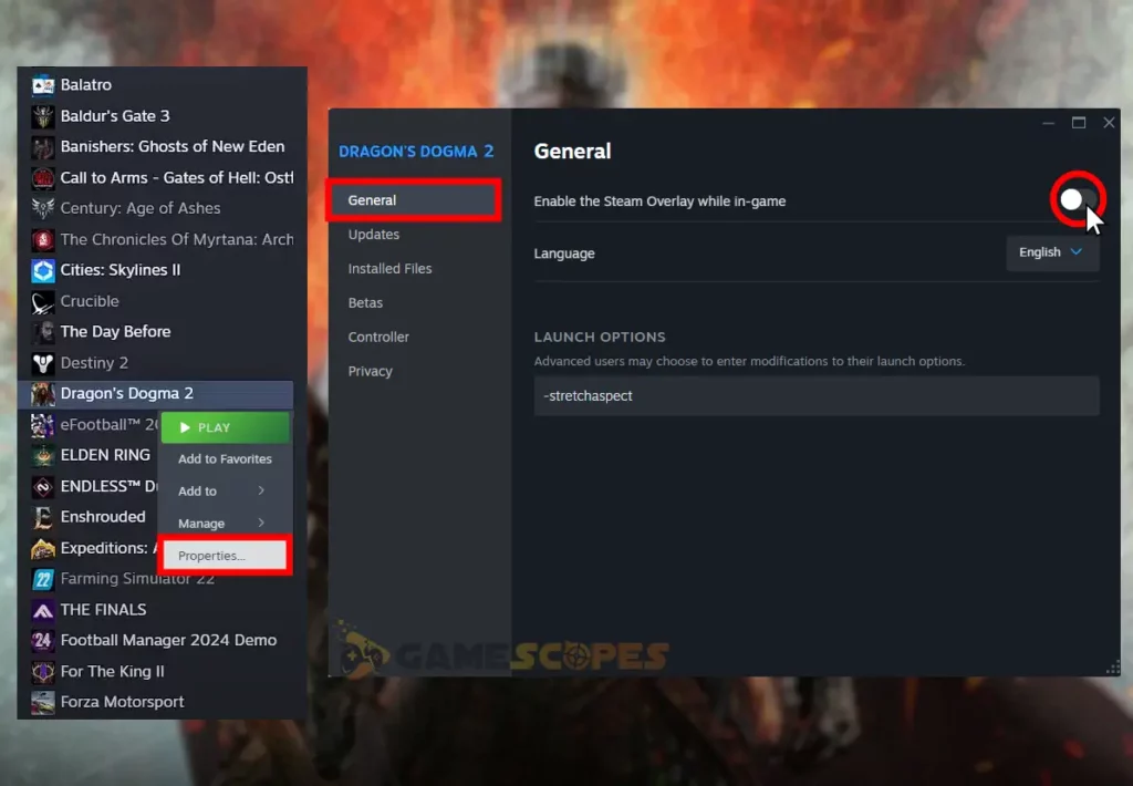 This image is showing how to disable the Steam Overlay.