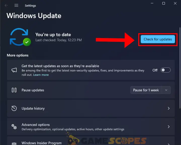 The image is showing how to update your Windows system.
