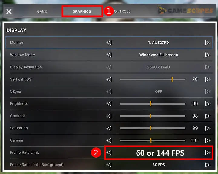 The image shows how to cap your game's FPS when Gray Zone Warfare crashing.