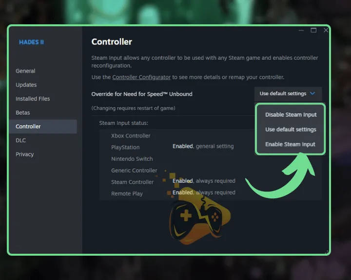 This image shows how to enable the input for Hades 2 through the Steam launcher.