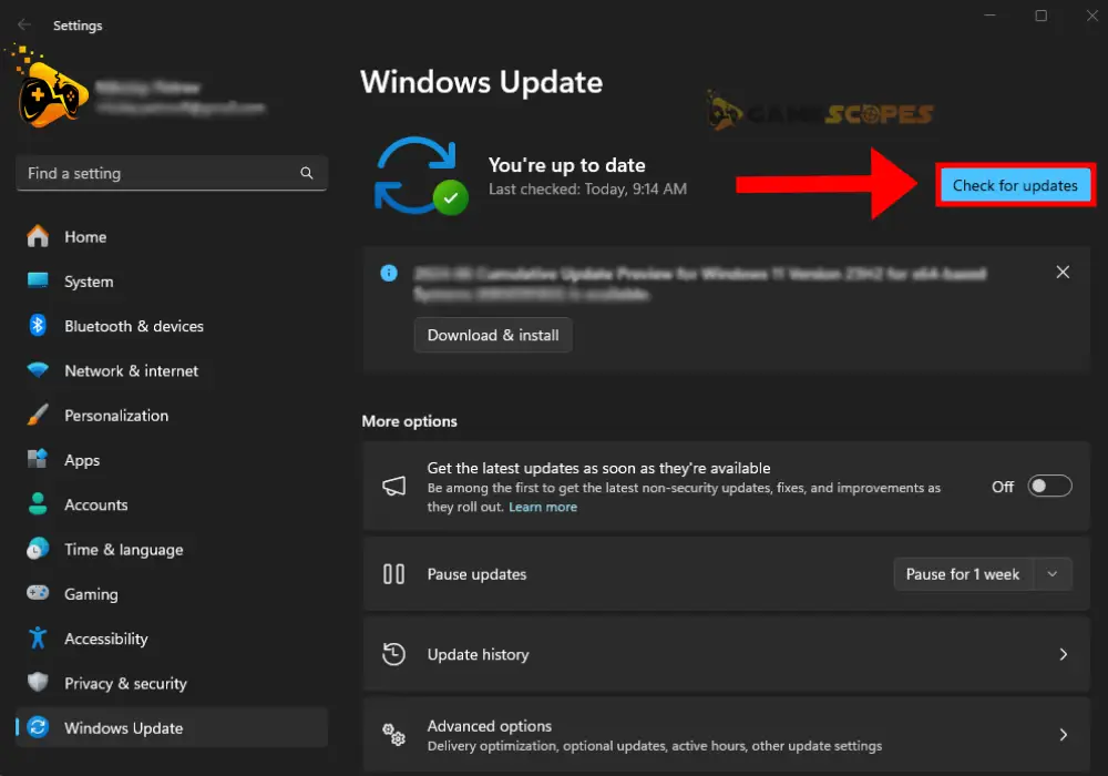 The image shows how to update the version of Windows 10 or 11.
