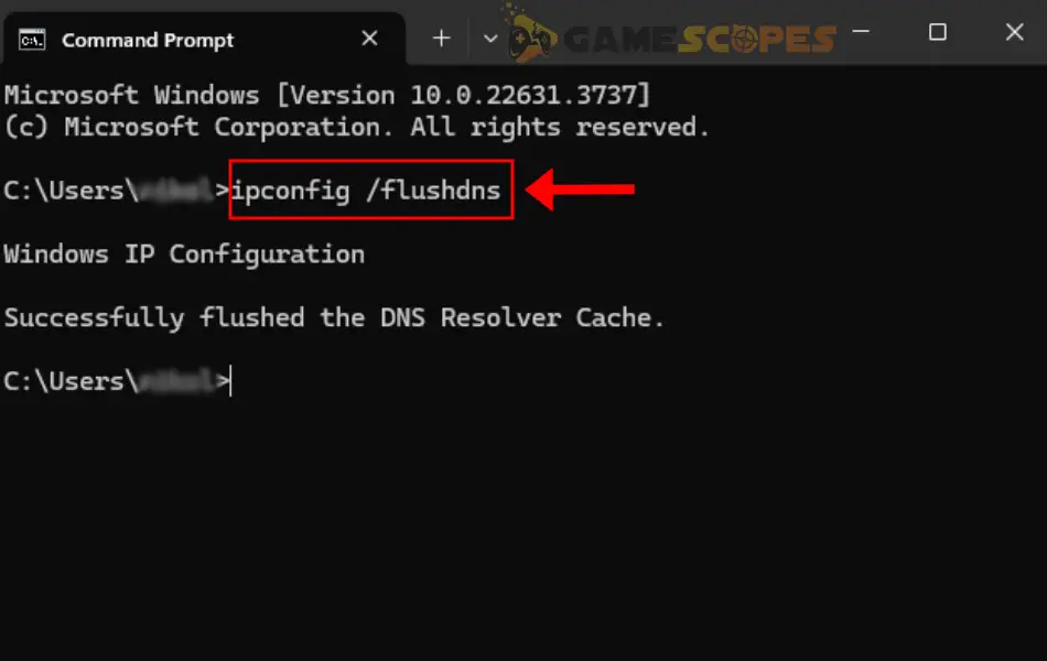 The image is showing the command needed to flush your DNS through a Windows PC.